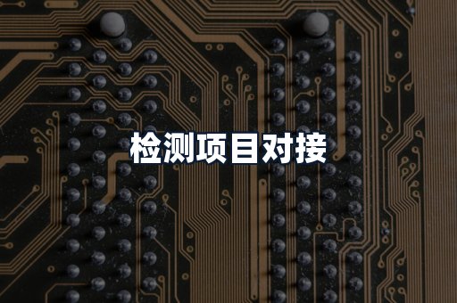 检测项目对接